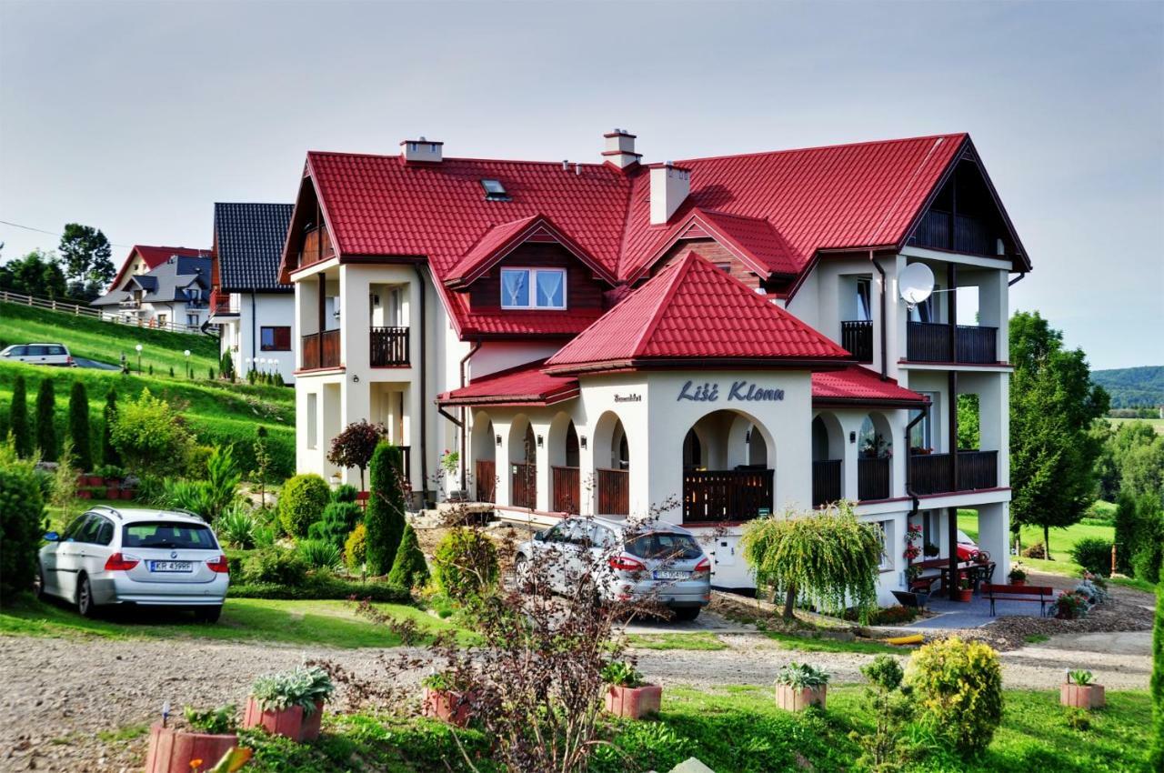 Lisc Klonu Apartamento Polańczyk Exterior foto